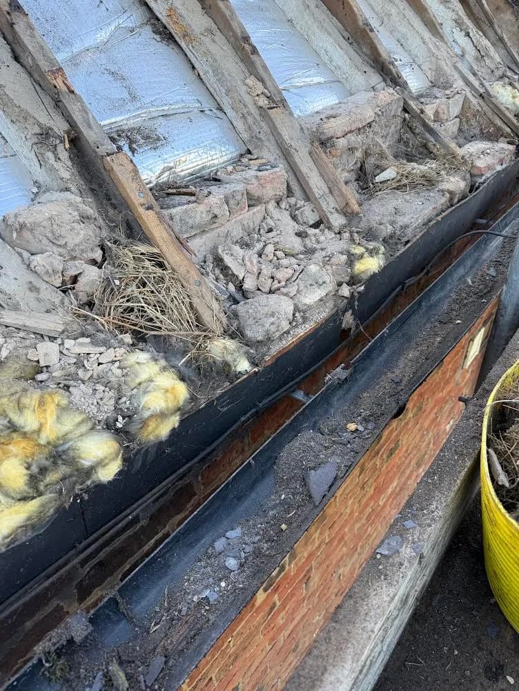 Close view of the stripped roof edge, showing what was found underneath: old lime torching, loose rubble, dried straw and degraded yellow mineral wool packed between the rafters above the eaves.